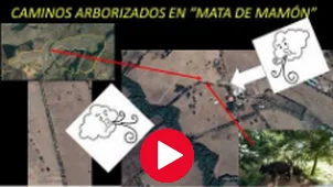 Finca Mata de Mamón - Una Referencia Silvopastoril para el Pie de Monte Andino de Venezuela